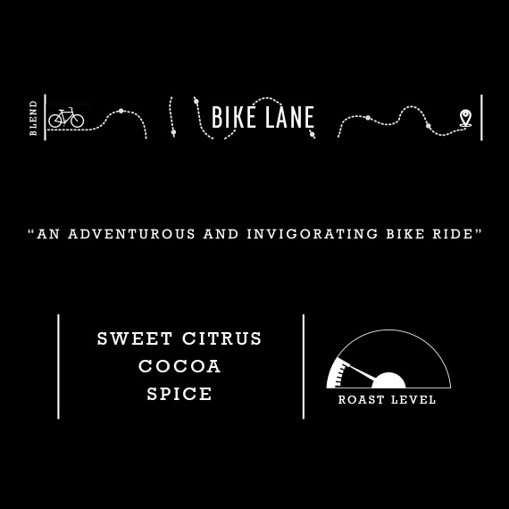 Picture Bike-Lane-2