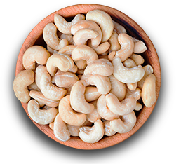 Nuts shop
