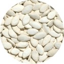 Picture Squash Seeds (Pumpkin) - Roasted, Salted 10 oz. C8