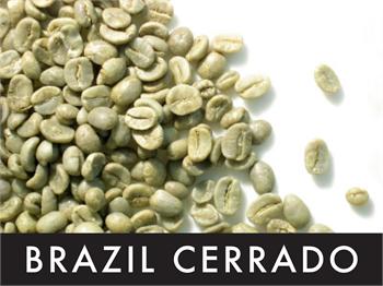 Picture Brazil Cerrado - 1 lb. Green Coffee Beans