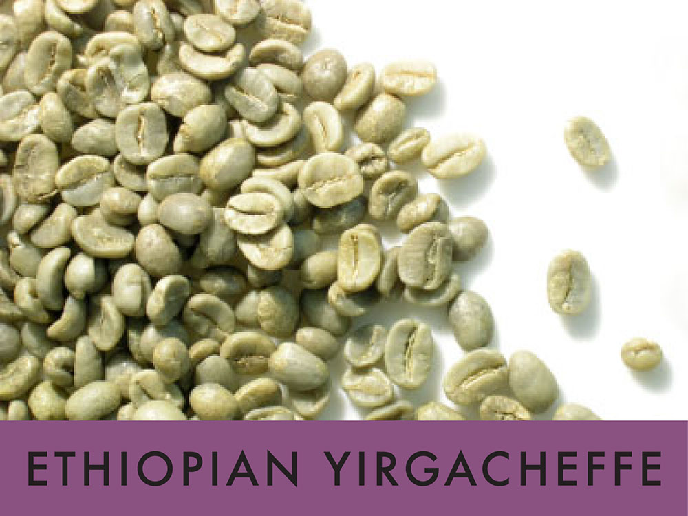 Picture FTO Ethiopian Yirgacheffe - 1 lb. Green Coffee Beans