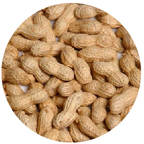 Picture Peanuts - Salted In-Shell - 5 oz.