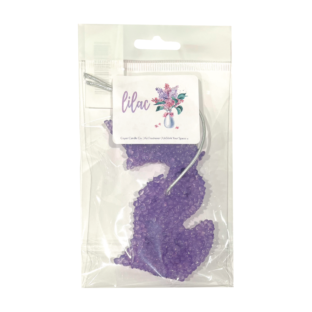 Picture Michigan Air Freshner - Light Purple - Lilac