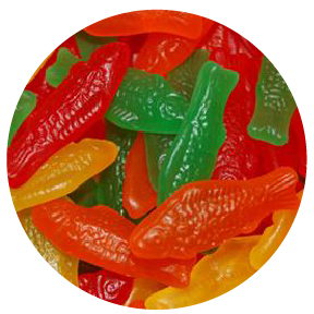 Picture Gummy Fish - 1 lb.