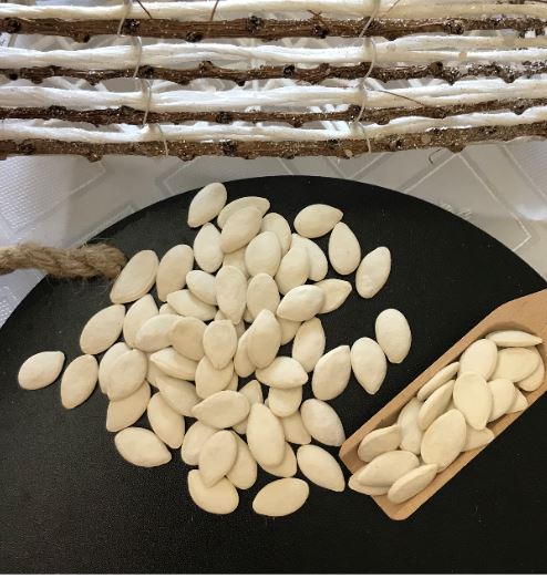Picture Squash Seeds (Pumpkin) - Roasted, Salted 20# Case