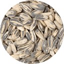 Picture Sunflower Seeds - In-Shell - 3 oz.  C8 DISCONTINUED