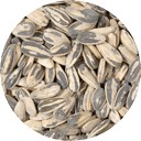 Picture Sunflower Seeds - In-Shell - 3 oz. C8