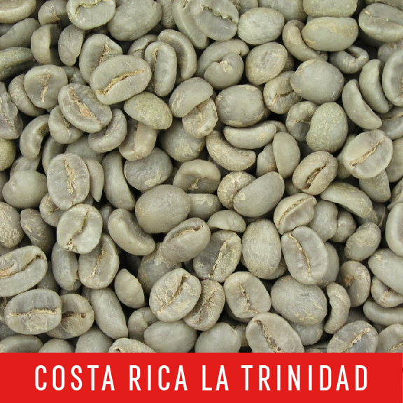 Picture Green Coffee Beans: Costa Rica La Trinidad - 1 LB