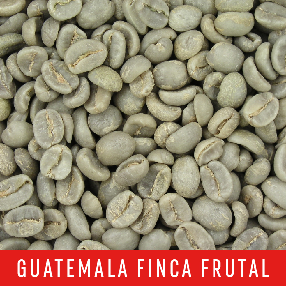 Picture Green Coffee Beans: Guatemala Finca Frutal - 1 LB