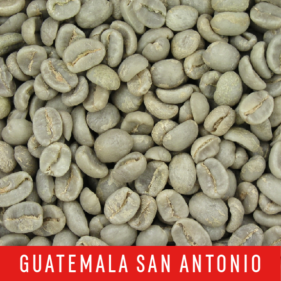 Picture Green Coffee Beans: Guatemala San Antonio - 1 LB