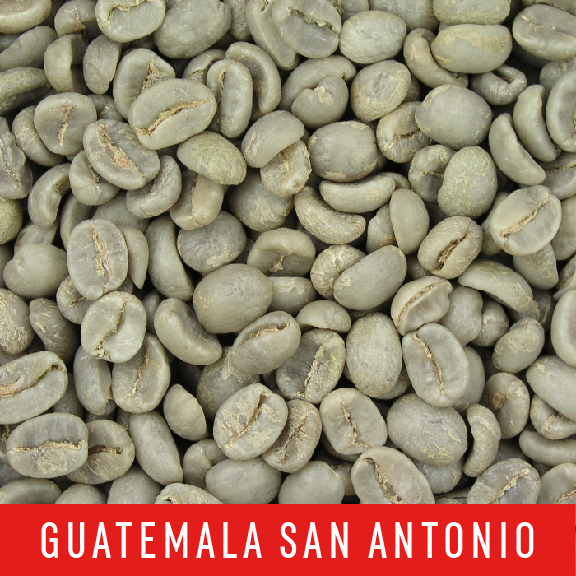 Picture Green Coffee Beans: Guatemala San Antonio - 1 LB