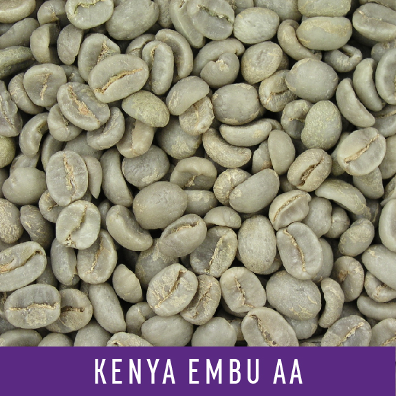 Picture Green Coffee Beans: Kenya Embu AA - 1 LB