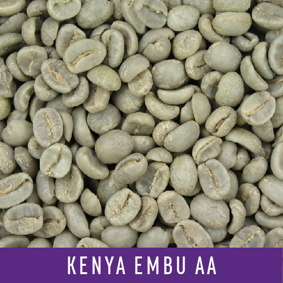 Picture Green Coffee Beans: Kenya Embu AA - 1 LB