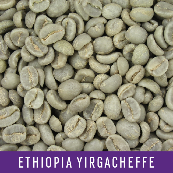 Picture Green Coffee Beans: Ethiopia Yirgacheffe - 1 LB