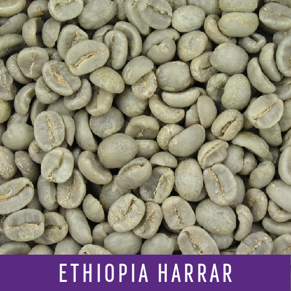 Picture Green Coffee Beans: Ethiopia Harrar - 1 LB