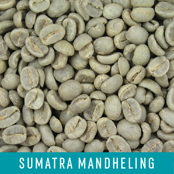 Picture Green Coffee Beans: Sumatra Mandheling - 1 LB