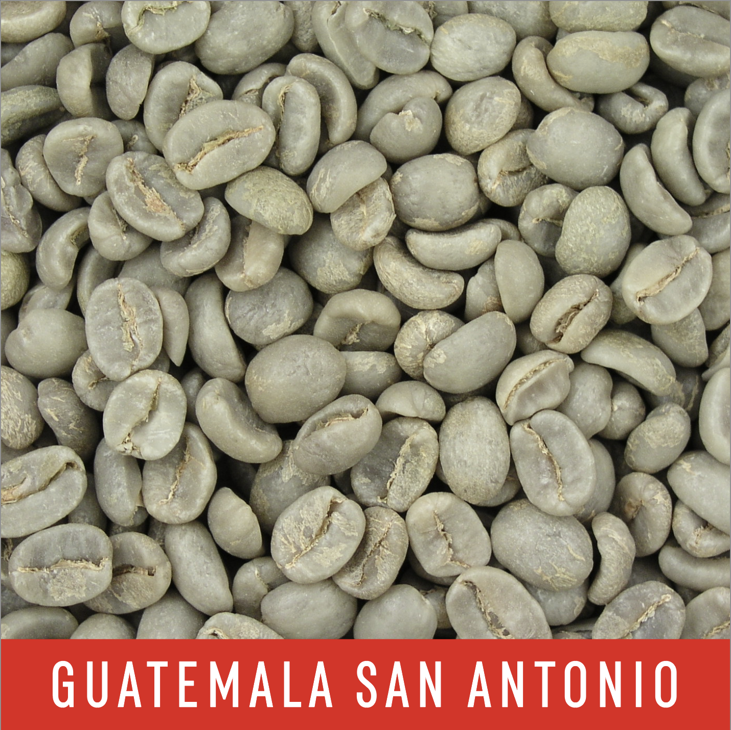 Picture Green Coffee Beans: Guatemala San Antonio - 1 LB